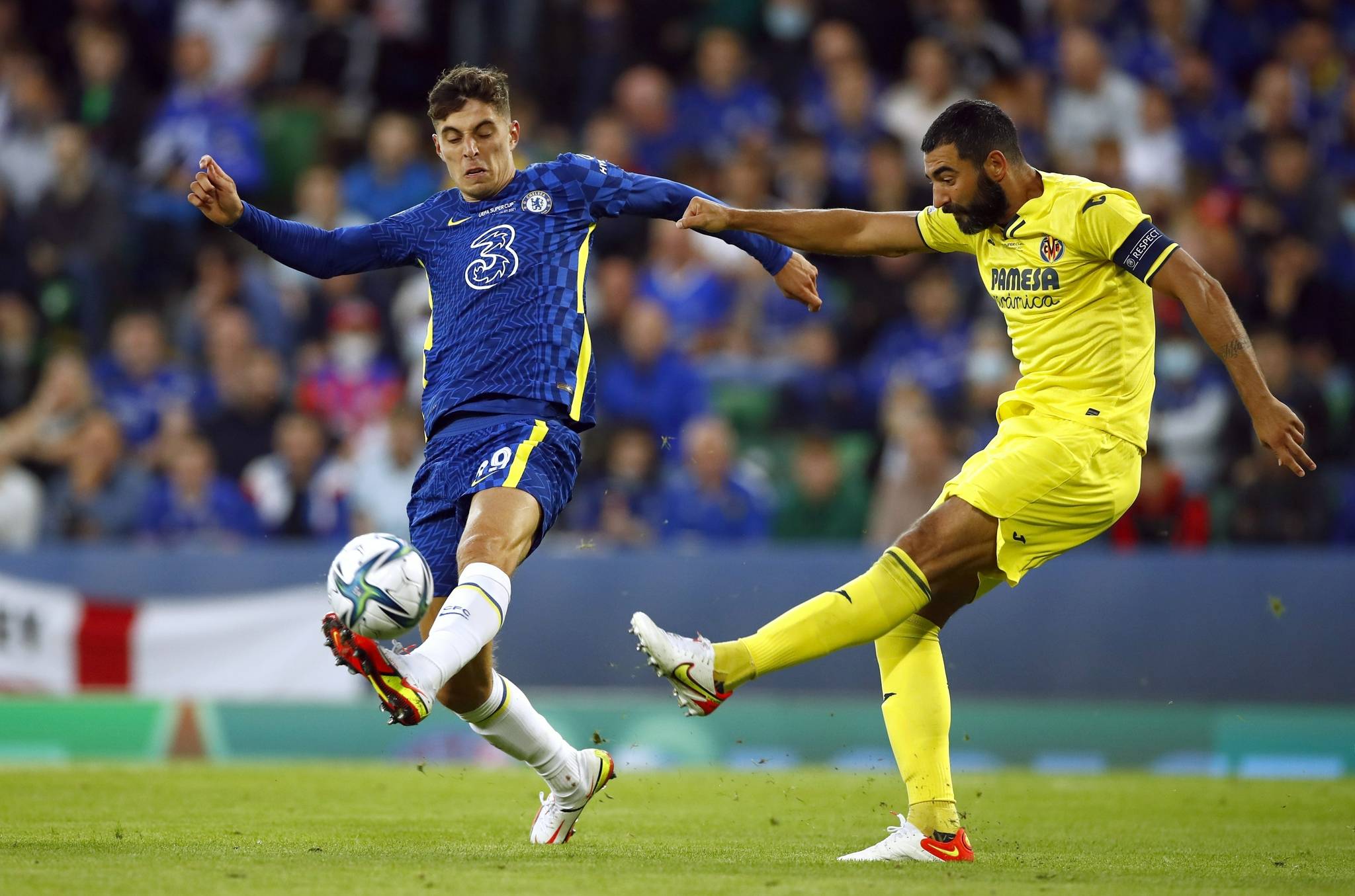 家联合举办 家联合举办